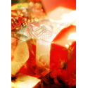 ��(ji��)�ձ����DƬ